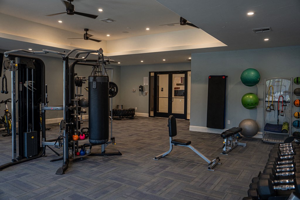 Gym at Platinum Castle Hills, Lewisville