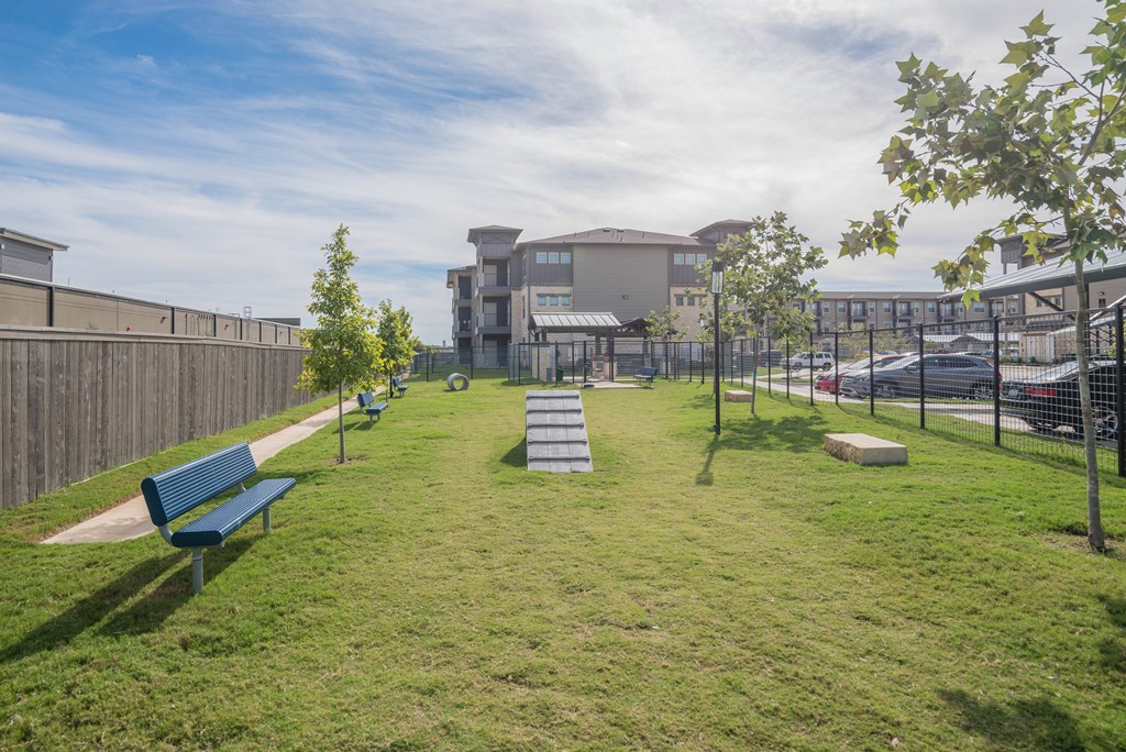 A park with a bench and a tree in the foreground with apartment buildings in the background.