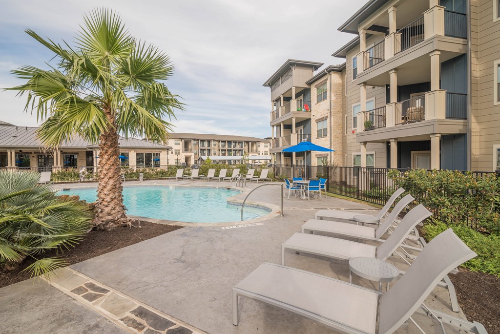 A pool area with lounge chairs and a palm tree.