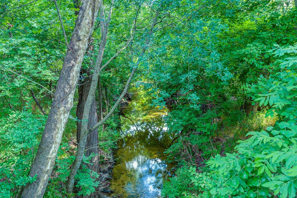 a creek in the middle of a lush green forestat Legacy at Cibolo, Boerne, 78006