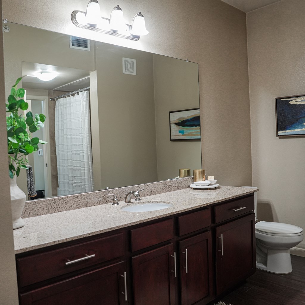 a bathroom with a sink and a mirror and a toilet at Platinum Castle Hills, Lewisville, Texas