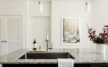 a kitchen with a sink and a painting on the wall at Legacy at Cibolo, Boerne, 78006