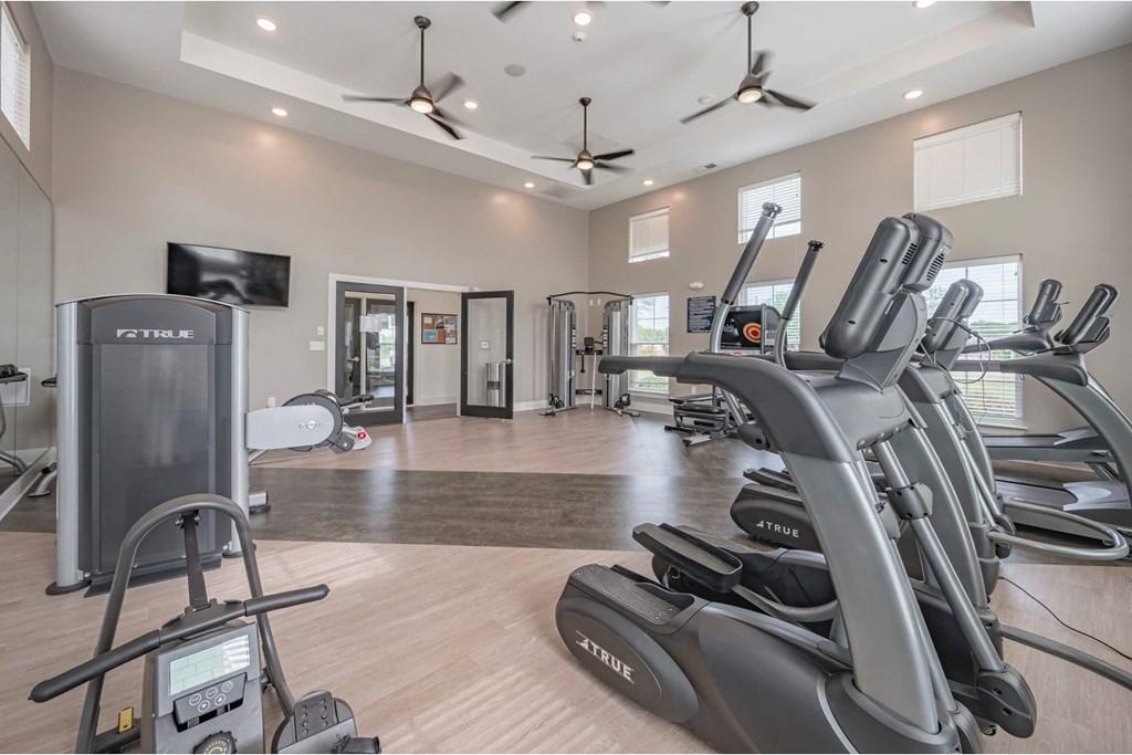 A spacious gym with treadmills, elliptical machines, and a television at Waterleaf at Neely Ferry Apartments, South Carolina 29680