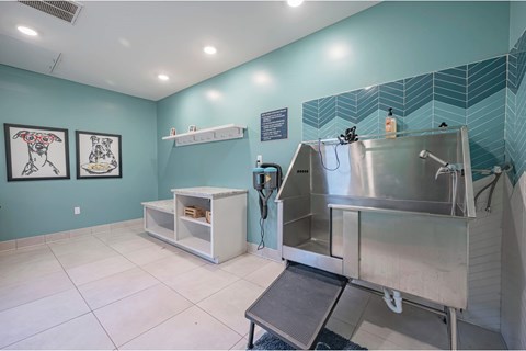 A kitchen with a stainless steel sink and a white counter.