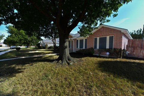 A tree in front of a brick house.