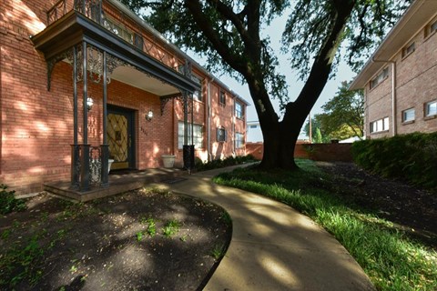 A tree is in front of a building with a brick facade.