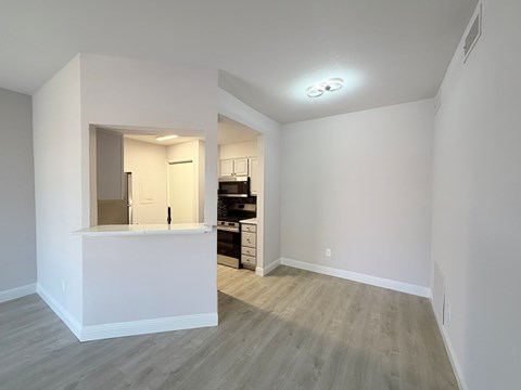 A kitchen area with a counter and cabinets is visible through a window.