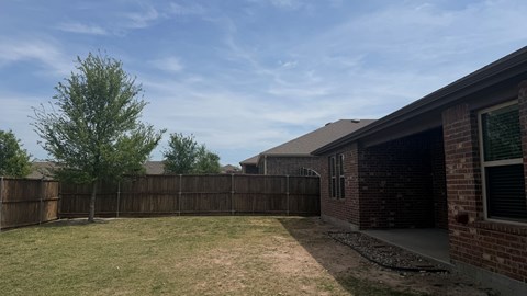A backyard with a fence and a tree.