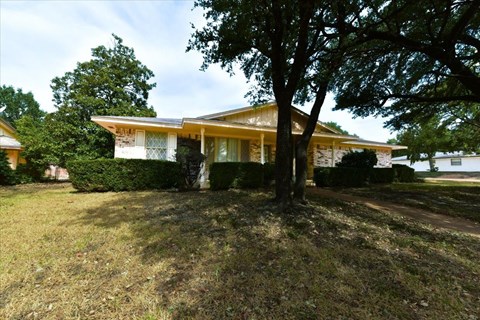 A house with a tree in front of it.