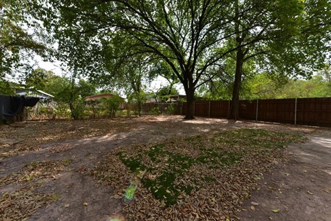 A backyard with a fence and a tree.