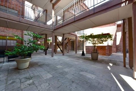 A courtyard with a brick wall and a tree in a pot.