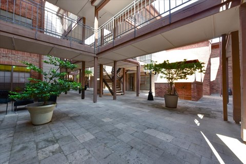 A courtyard with a brick wall and a tree in a pot.
