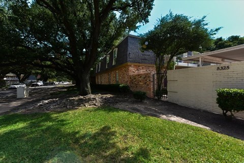 A tree in a yard with a house in the background.