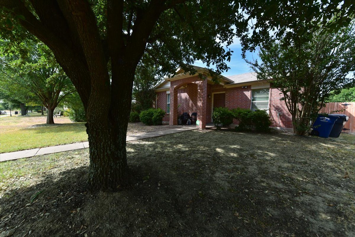 A tree in front of a house.