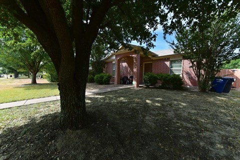 A tree in front of a house.