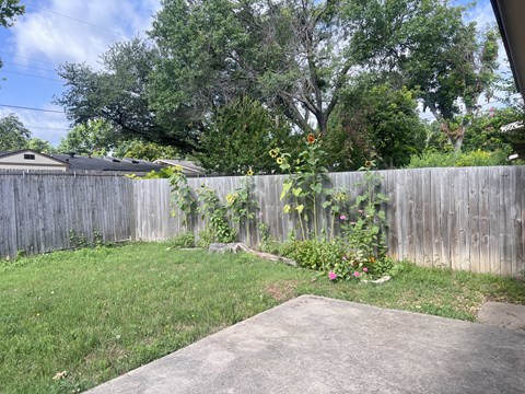 A backyard with a wooden fence and a concrete slab.
