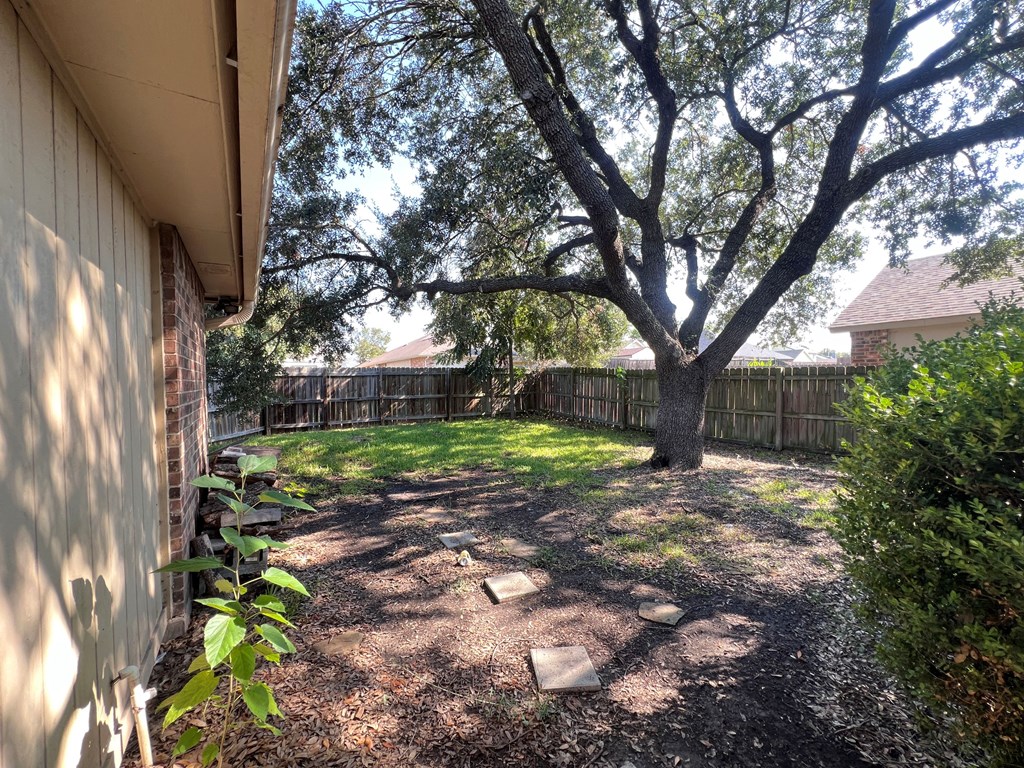 A tree in a backyard with a house in the background.