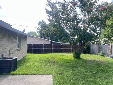 A backyard with a tree, a fence, and a house.
