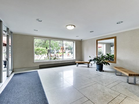 an empty living room with a large window and a potted plant
