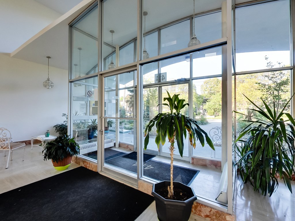 a living room with large windows and a black rug and potted plants