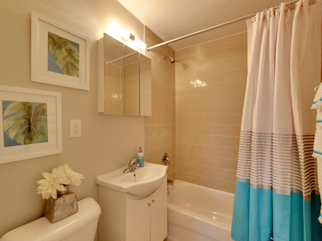 a bathroom with a shower curtain and a sink and a tub