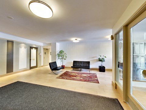 A living room with a black couch and a rug.