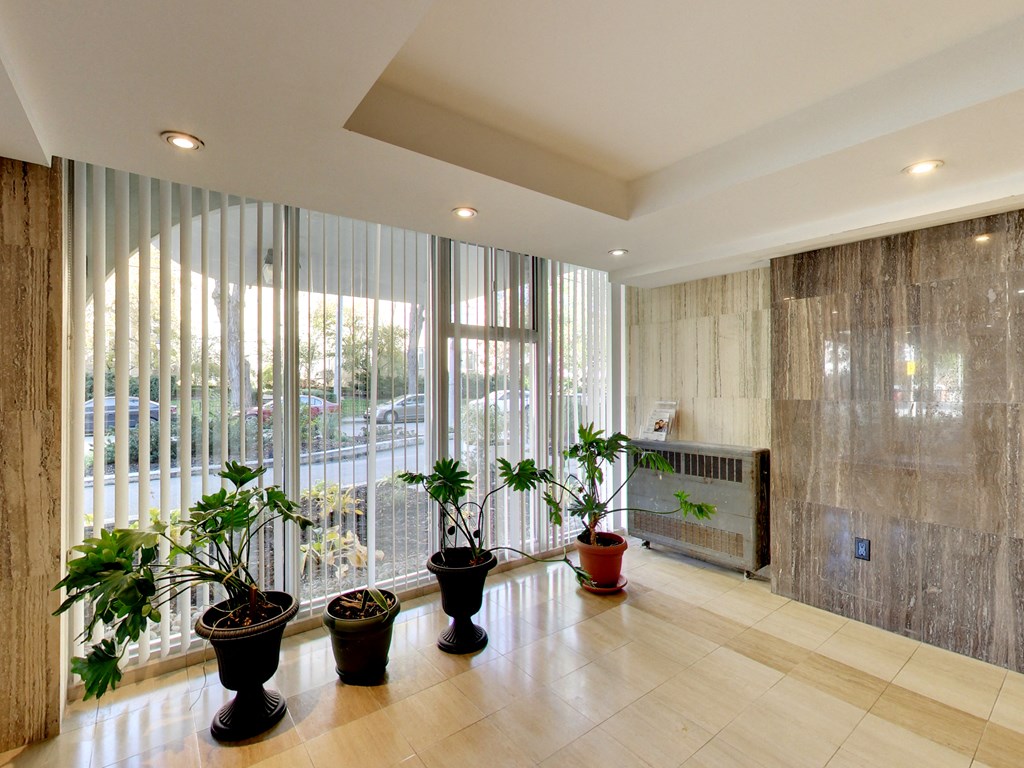 Three potted plants are on display in a hallway.