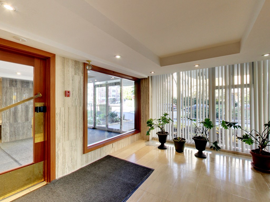 A hallway with a black rug and three potted plants.