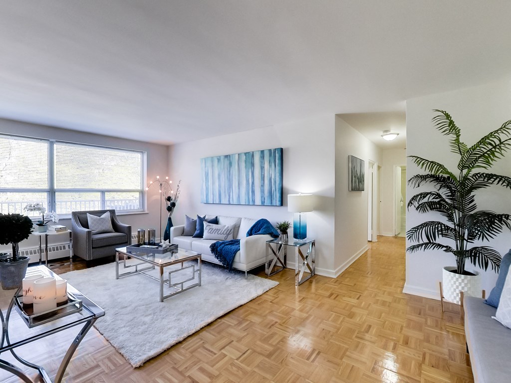 a living room with a white rug and a couch