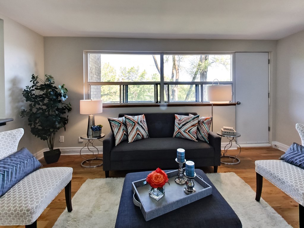 A living room with a black couch and a coffee table with a red flower on it.
