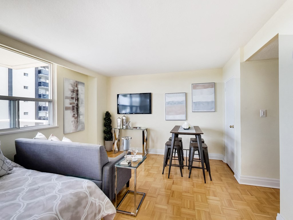 A living room with a grey couch and a television.