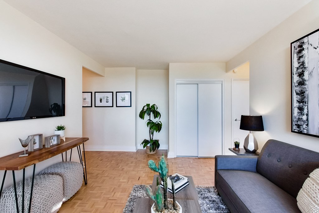 A living room with a grey couch, a wooden table, a television, and a plant.