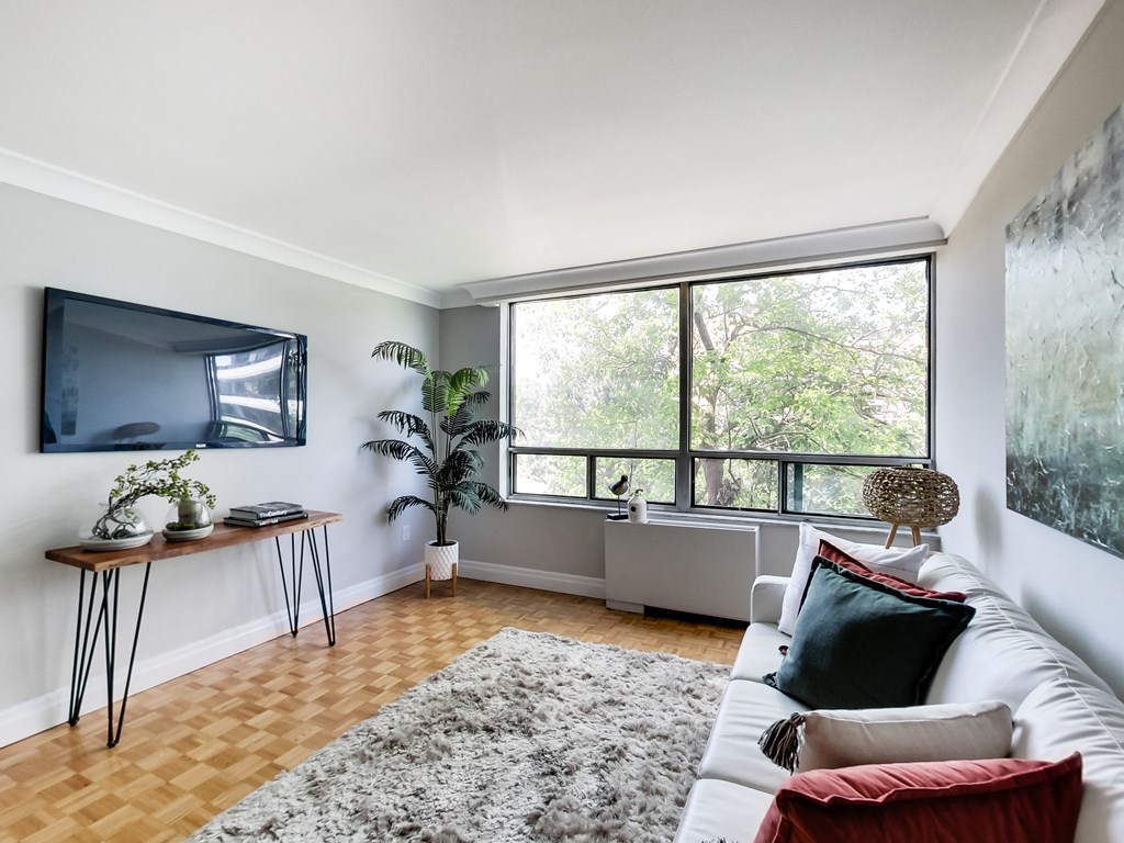 A living room with a white couch, a grey rug, a wooden floor, a TV, a window with a view of trees, and a plant.