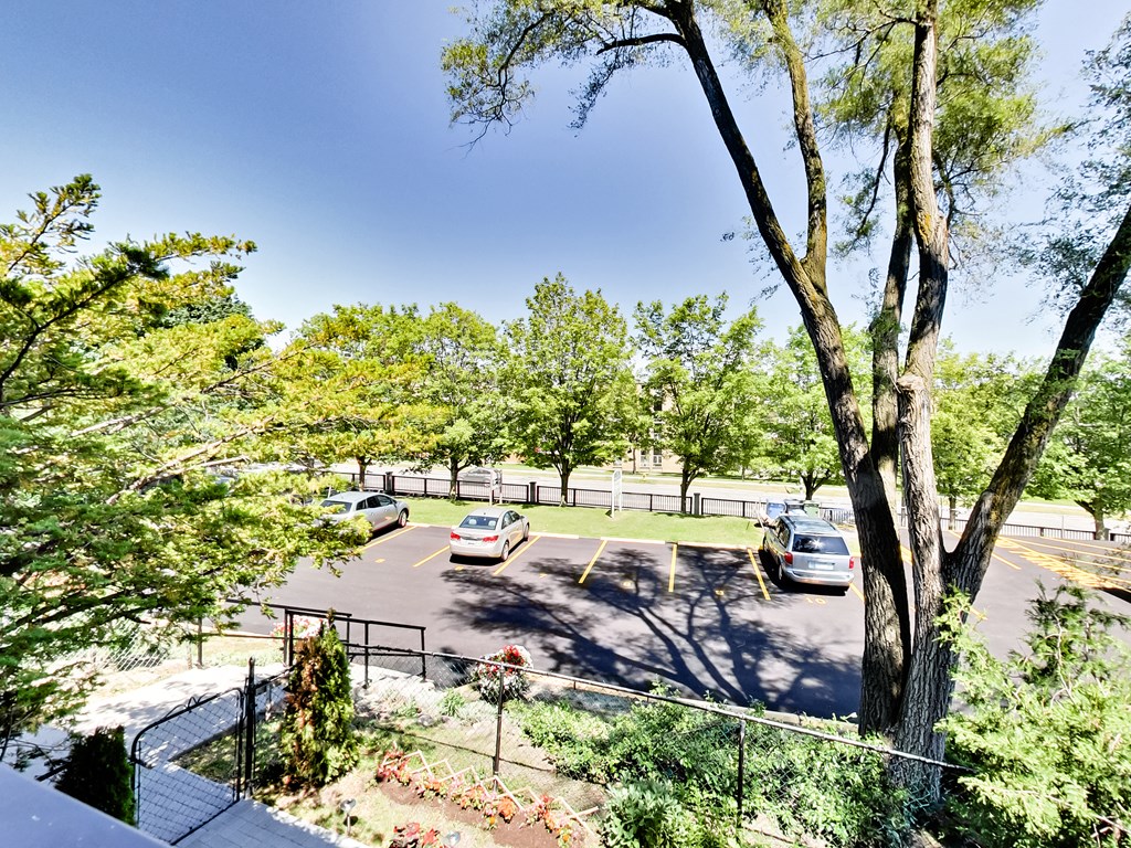 A parking lot with cars and trees.