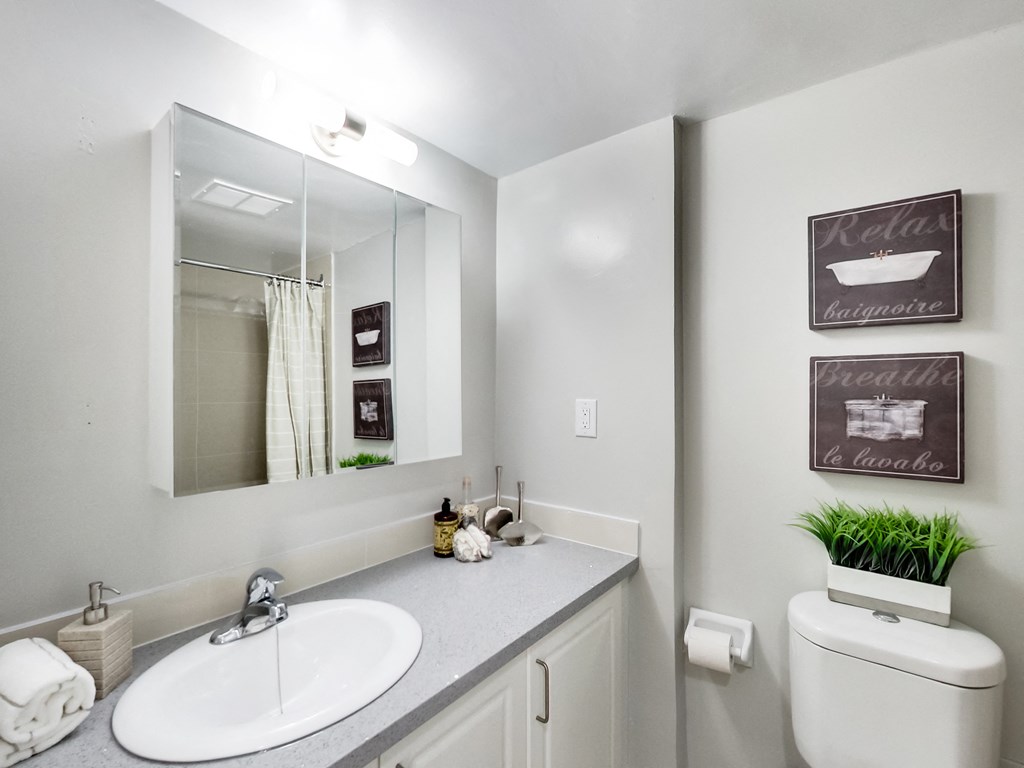 A bathroom with a white toilet and a sink with a mirror above it.