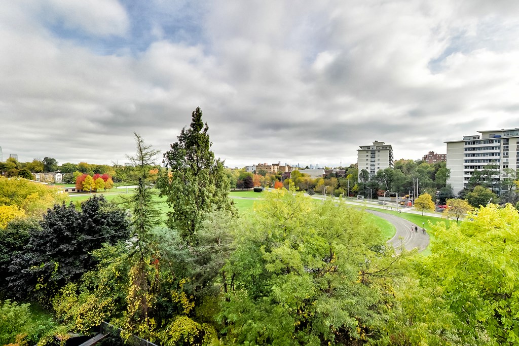 A view of a park with trees and buildings in the background.