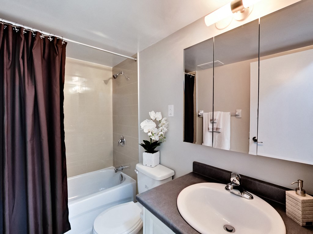 A white toilet sits next to a sink in a bathroom.