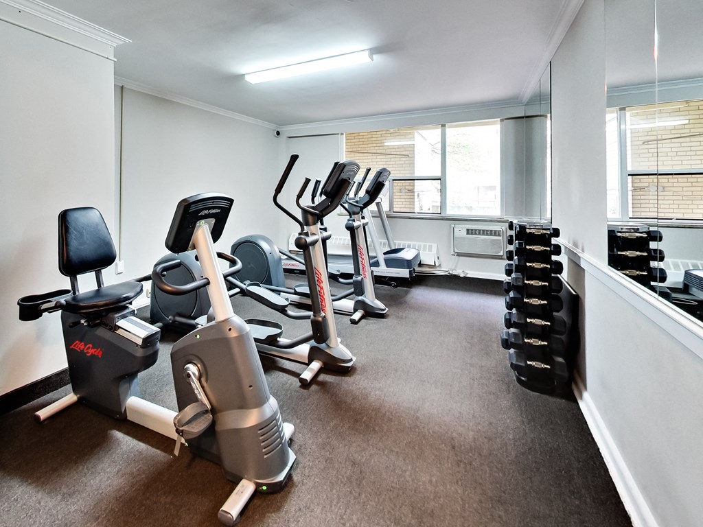 a gym with cardio machines and weights on the floor