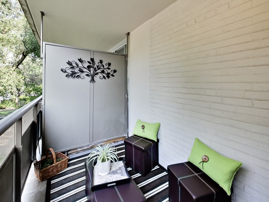A small balcony with a white wall and a plant on a tray.
