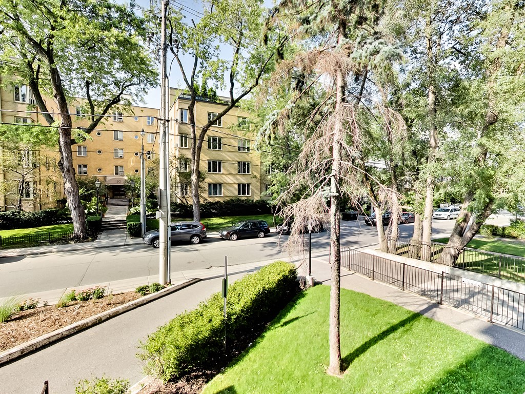 A tree in a grassy area in front of a building.
