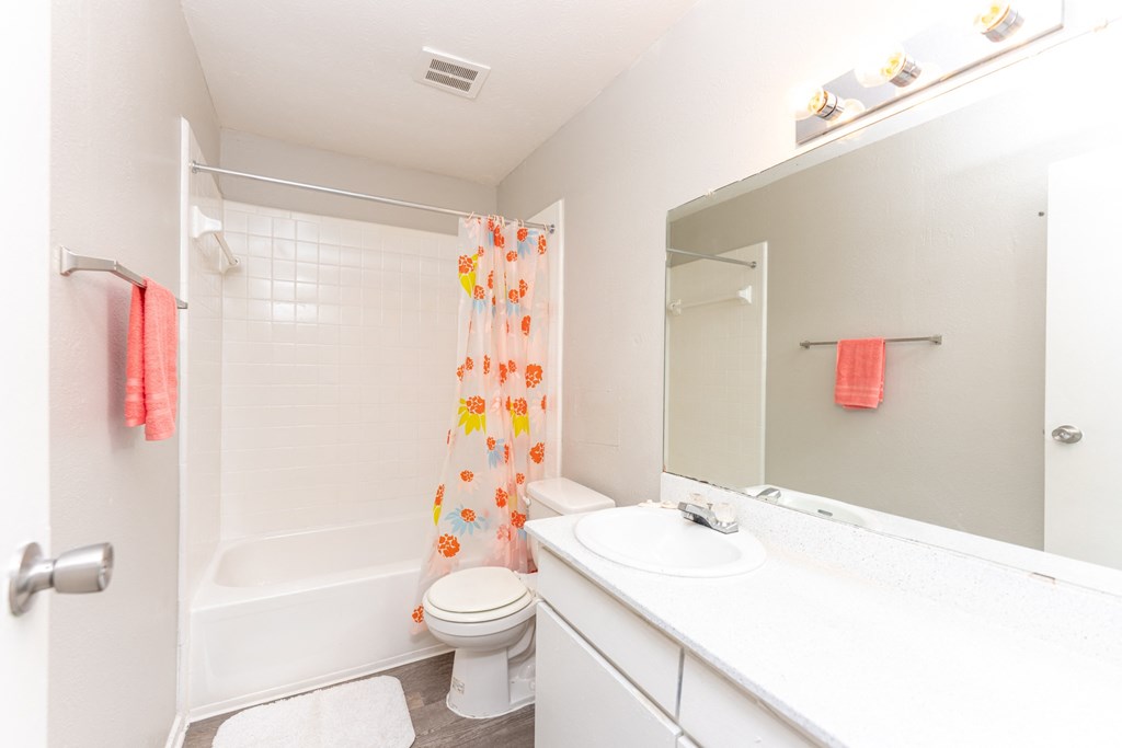 a bathroom with a shower toilet and sink and a mirror