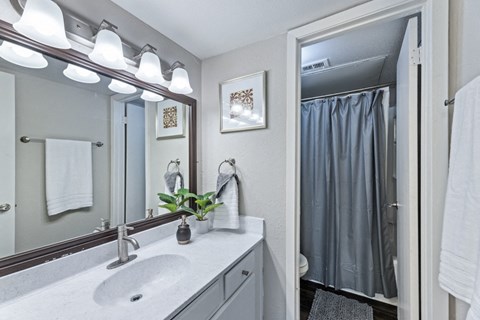 a bathroom with a sink and a mirror and a shower
