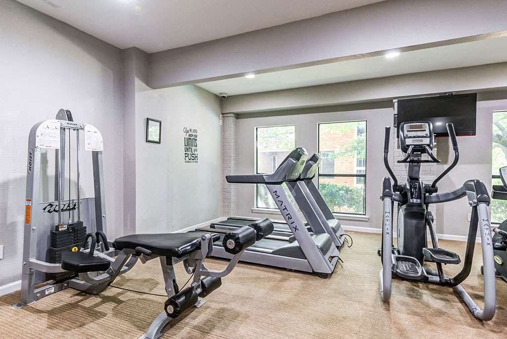 the gym in the condo is equipped with cardio equipment