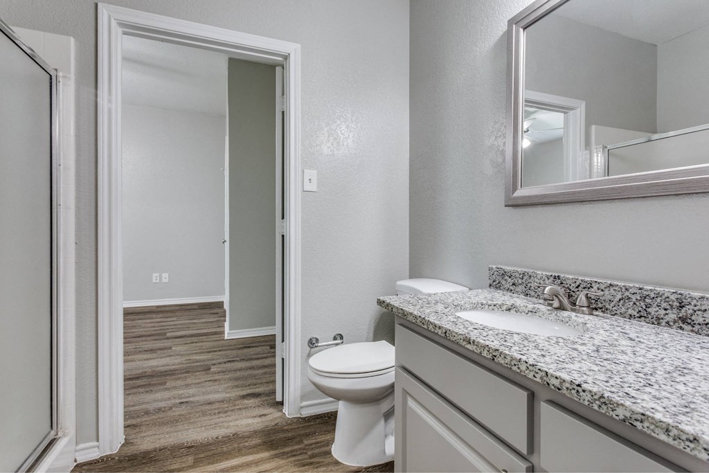 a bathroom with a toilet and a sink and a mirror