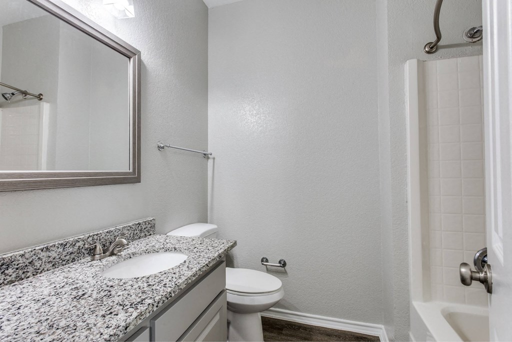 a bathroom with a sink toilet and a mirror