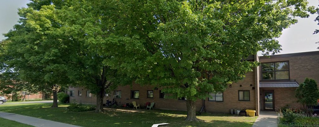 A tree in front of a building with a lawn in between.