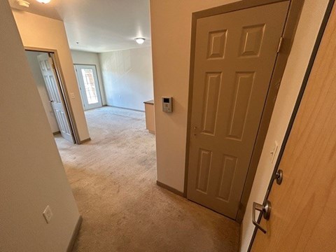 A brown door is on the right side of the image.