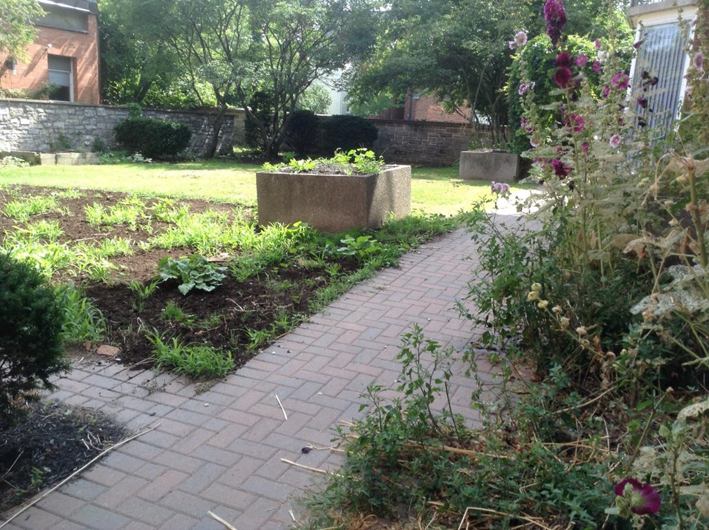 A garden with a brick pathway and a stone wall in the background.
