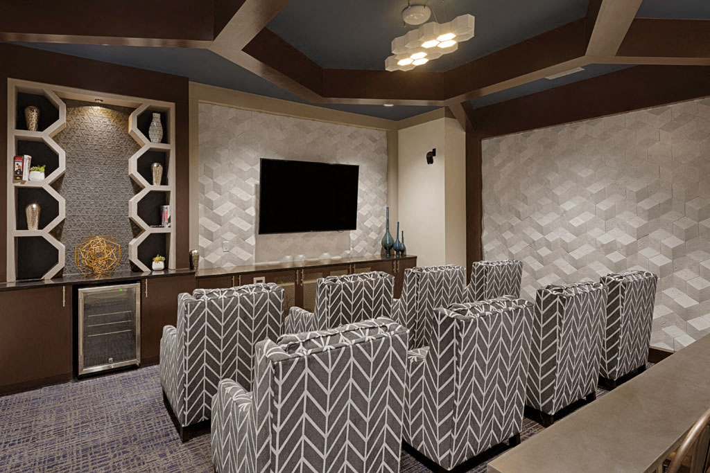 Community movie theater with chairs; flat-screen TV