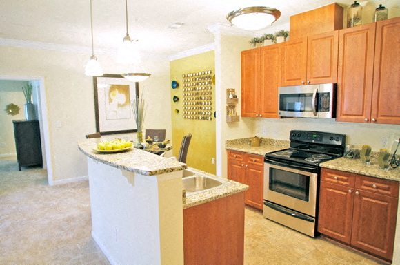 Gourmet Kitchen with Stainless Steel Appliances and Vinyl Tile Floors